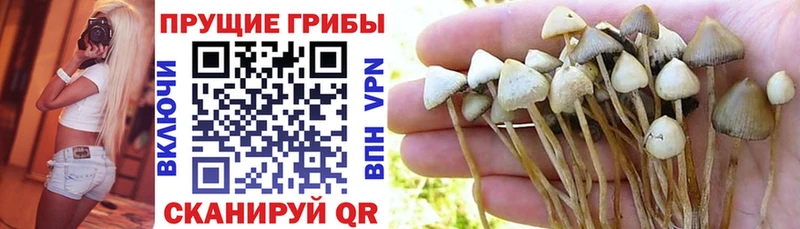 наркота  Старый Крым  Псилоцибиновые грибы ЛСД 